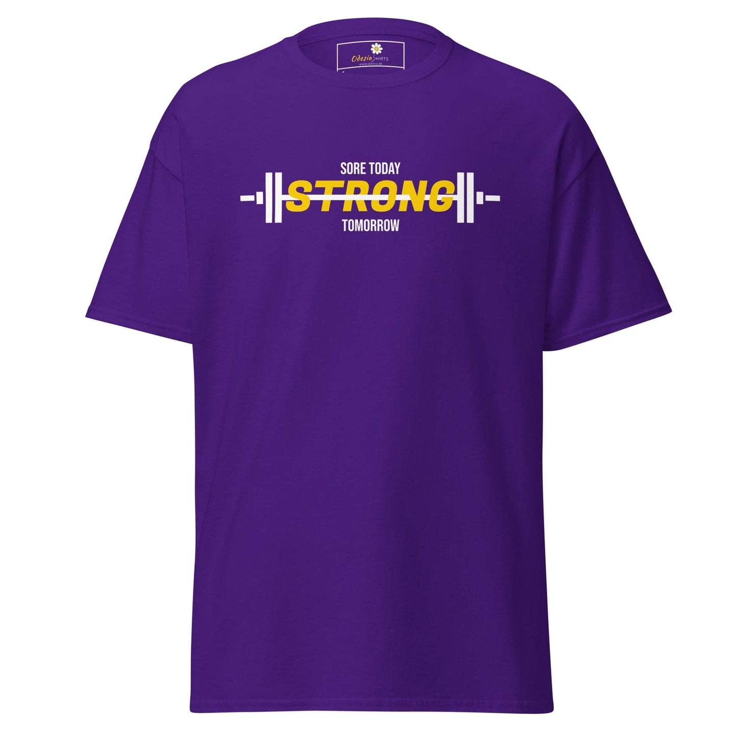 Unisex classic t-shirt - SPORT SORE TODAY - REGULAR - Purple / S